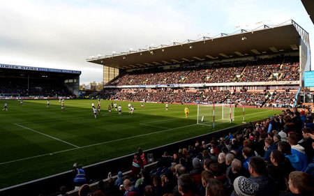 乏多样性 乏多样性